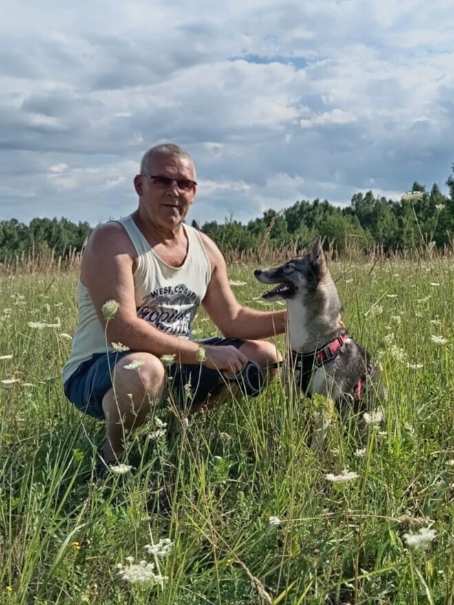  54369095  , 60 ,    -