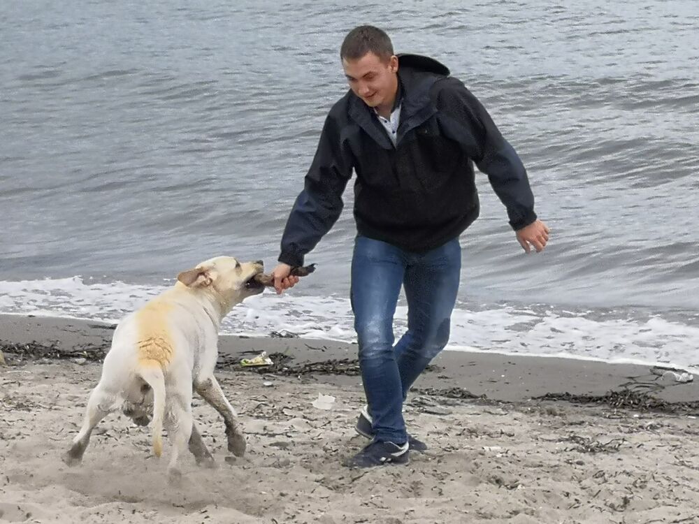 ���� 33163055 ������� �������, 32 ����, ���� ���������� � �������