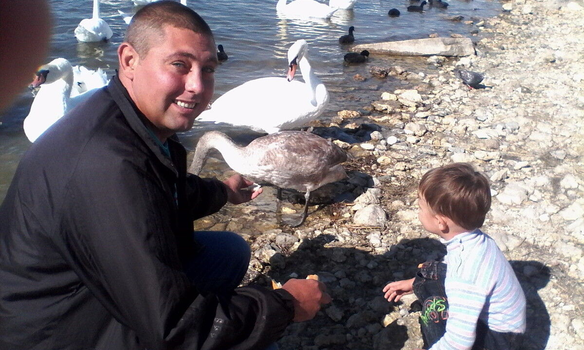 ���������� �����������, ���� ������� �����, 46 ���, ������������ ��� ������, ����� � ���������, c�������� ���������