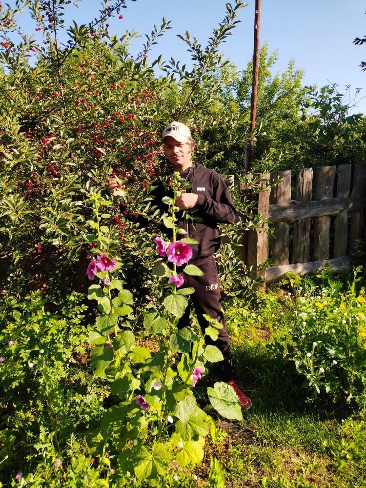 ���� 29380795 ������� ����, 39 ���, ���� ���������� � ������