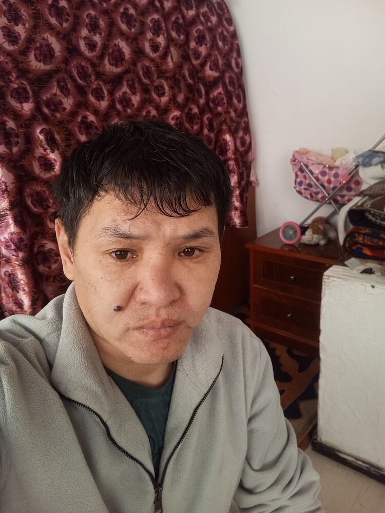  51338705  , 38 ,    
