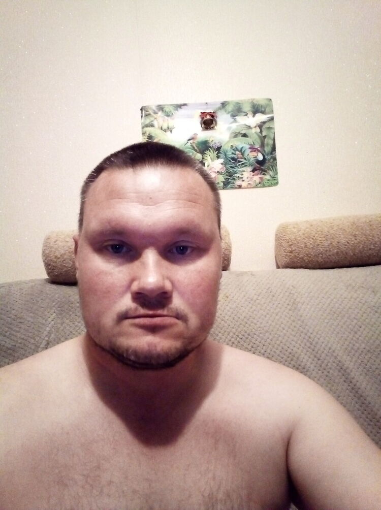  20383055  , 41 ,     
