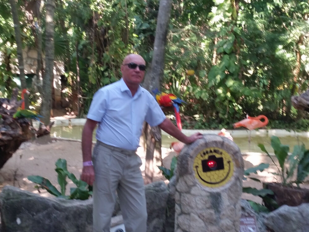  10320625  , 54 ,    -