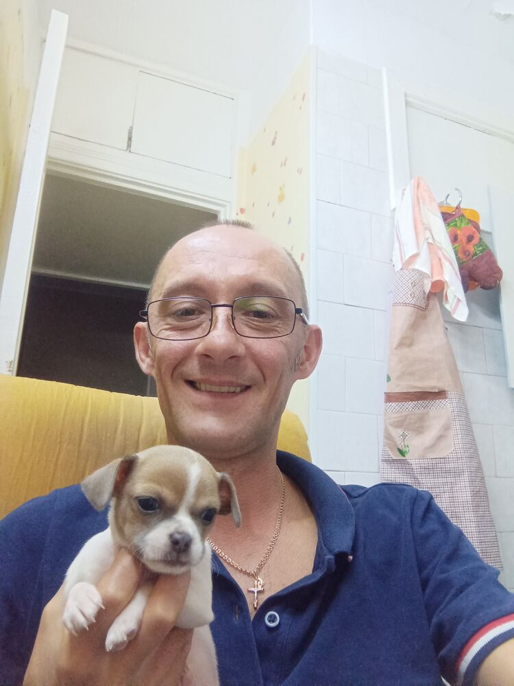 ���� 46645315 ������� ����, 46 ���, ���� ���������� � �����