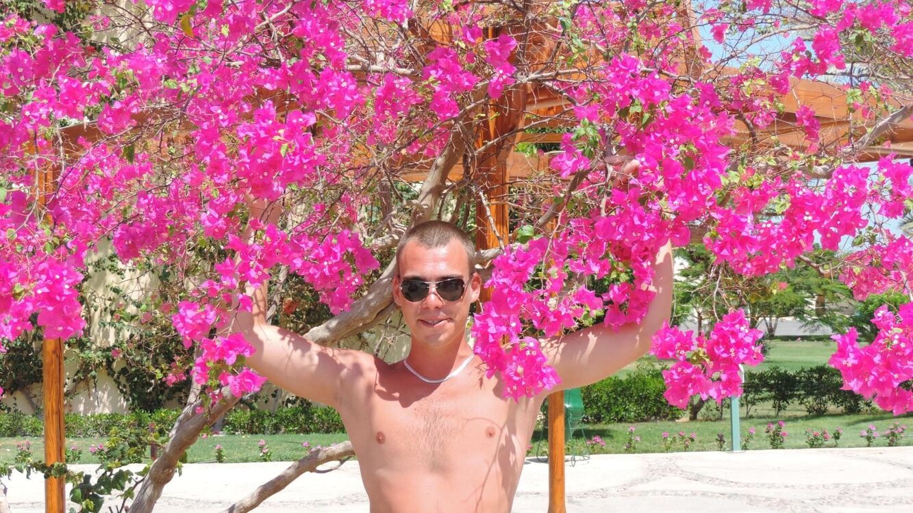 ���� 38184795 ������� ����������, 36 ���, ���� ���������� � �������