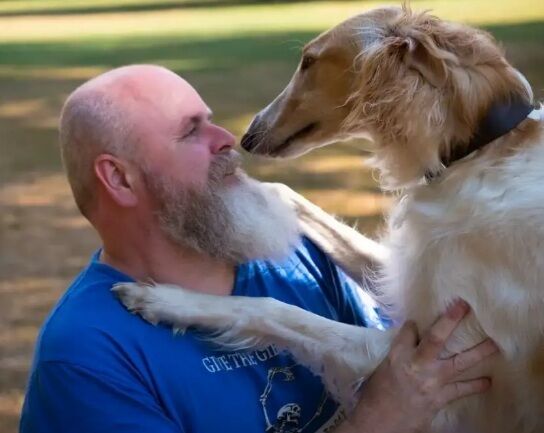 ���� 24265295 ������� ������, 54 ����, ���� ���������� � �����