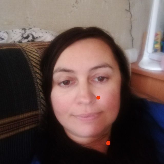 ���� 51246075 ������� ����, 42 ����, ���� ���������� � �����-����������