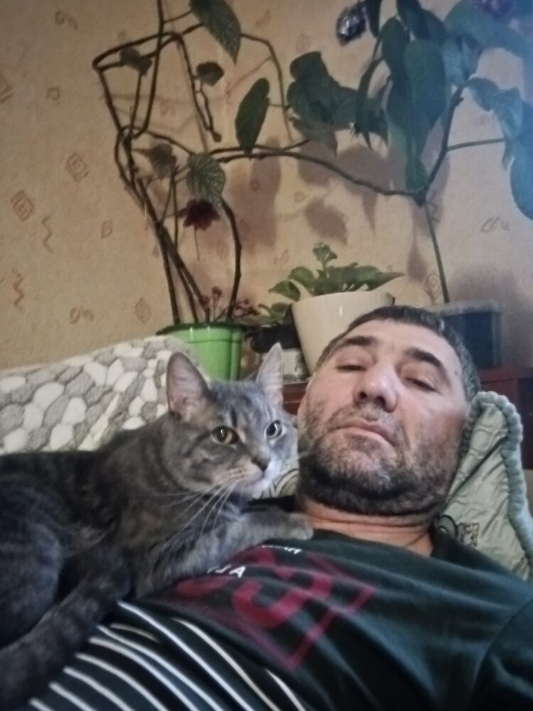 ���� 42075145 ������� ������, 44 ����, ���� ���������� � �����-����������