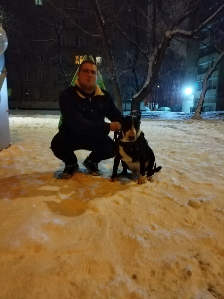 ���� 55811335 ������� ��������, 33 ����, ���� ���������� � ������