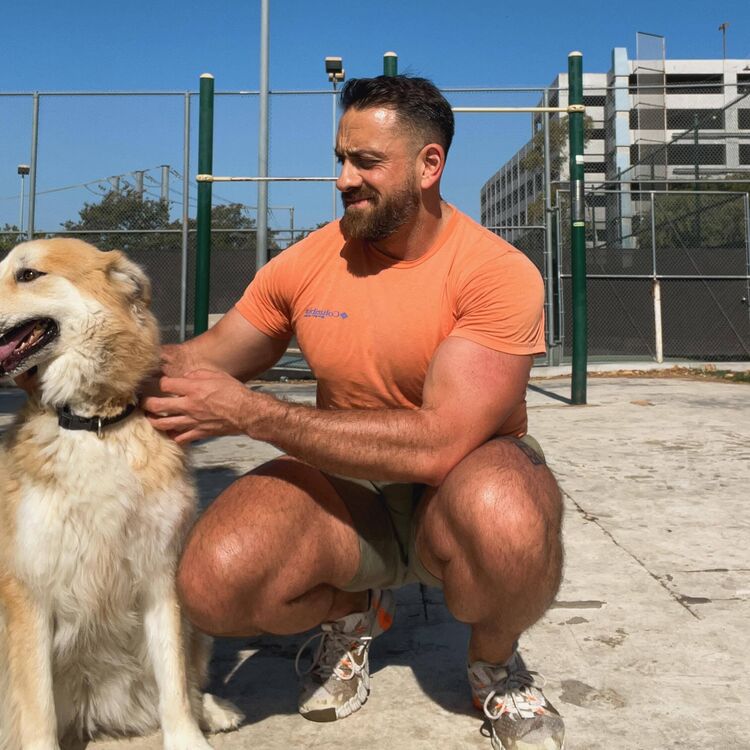 ���� 53811655 ������� ����������, 36 ���, ���� ���������� � ������