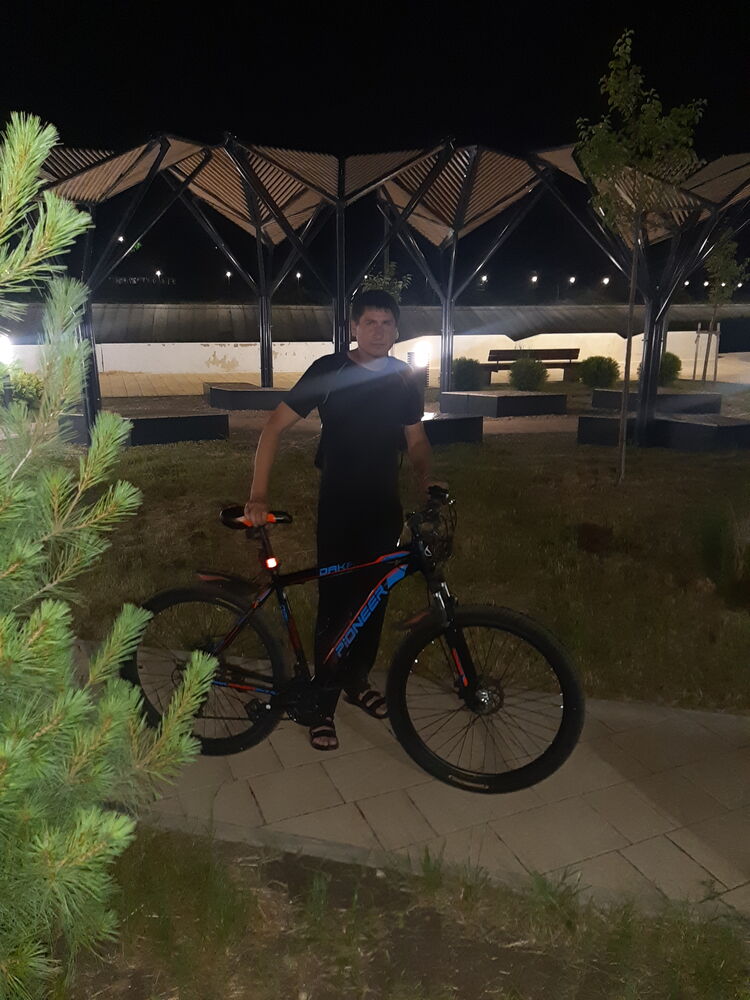  35682945  , 38 ,    