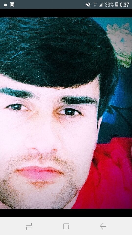 ���� 24449565 ������� ����, 31 ���, ���� ���������� � ��������