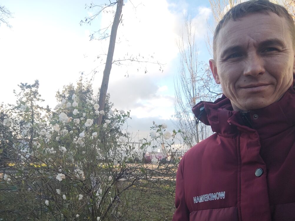 ���� 31907595 ������� �������, 48 ���, ���� ���������� � ����������