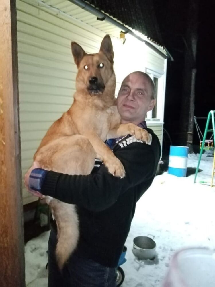 ���������� �����-���������, ���� ������� ������, 51 ���, ������������ ��� ����� � ���������, c�������� ���������