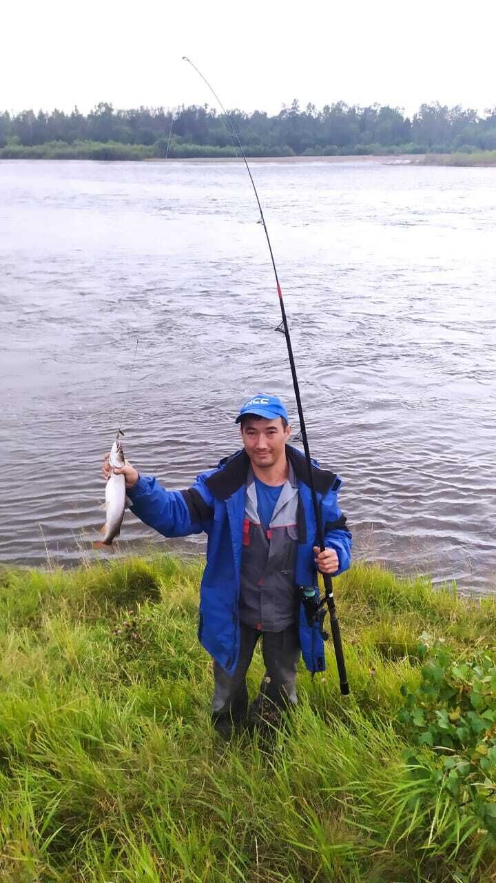 ���������� ����, ���� ������� ���, 43 ����, ������������ ��� ������, ����� � ���������