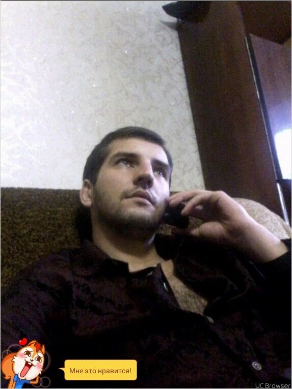  8256955  , 36 ,    --