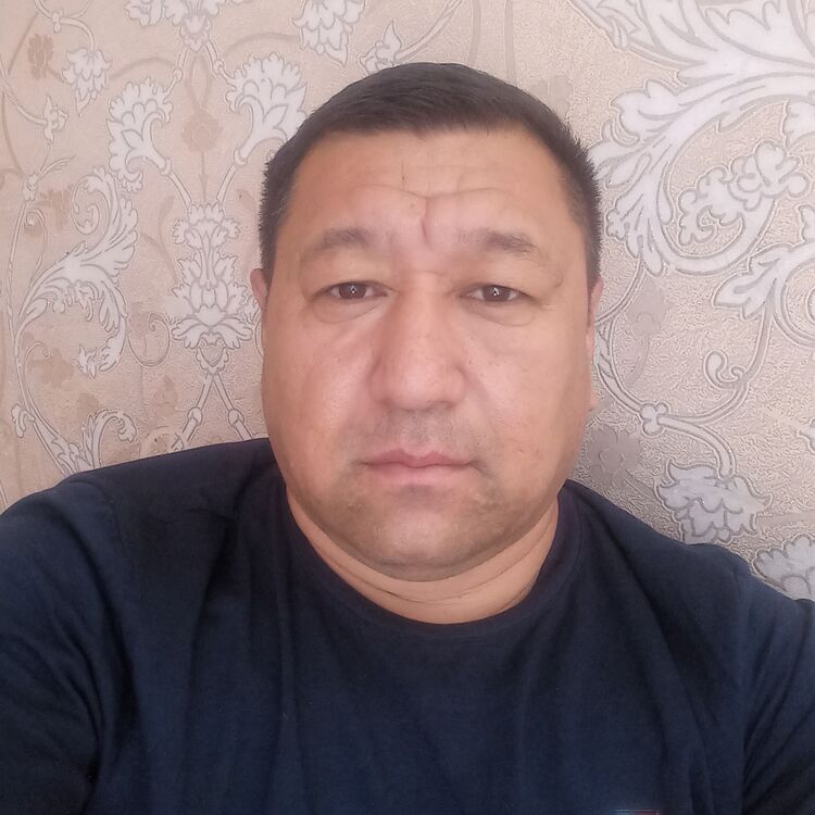  53017625  , 43 ,    