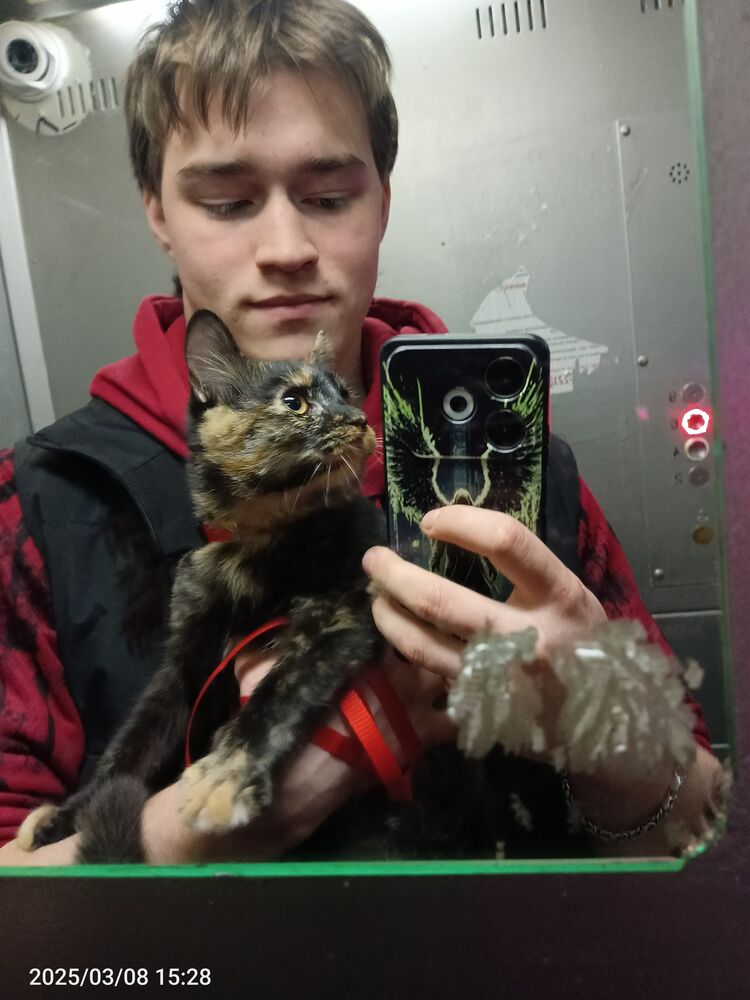 ���� 51081065 ����� �������, 20 ���, ���� ���������� � �����-����������