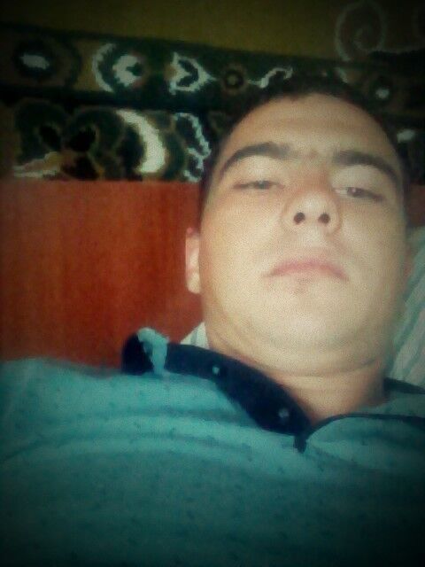  13138615  , 28 ,    
