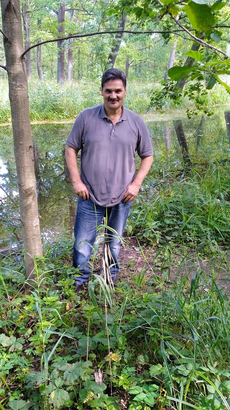 ���������� �����-���������, ���� ������� ��������, 52 ����, ������������ ��� ������, ����� � ���������