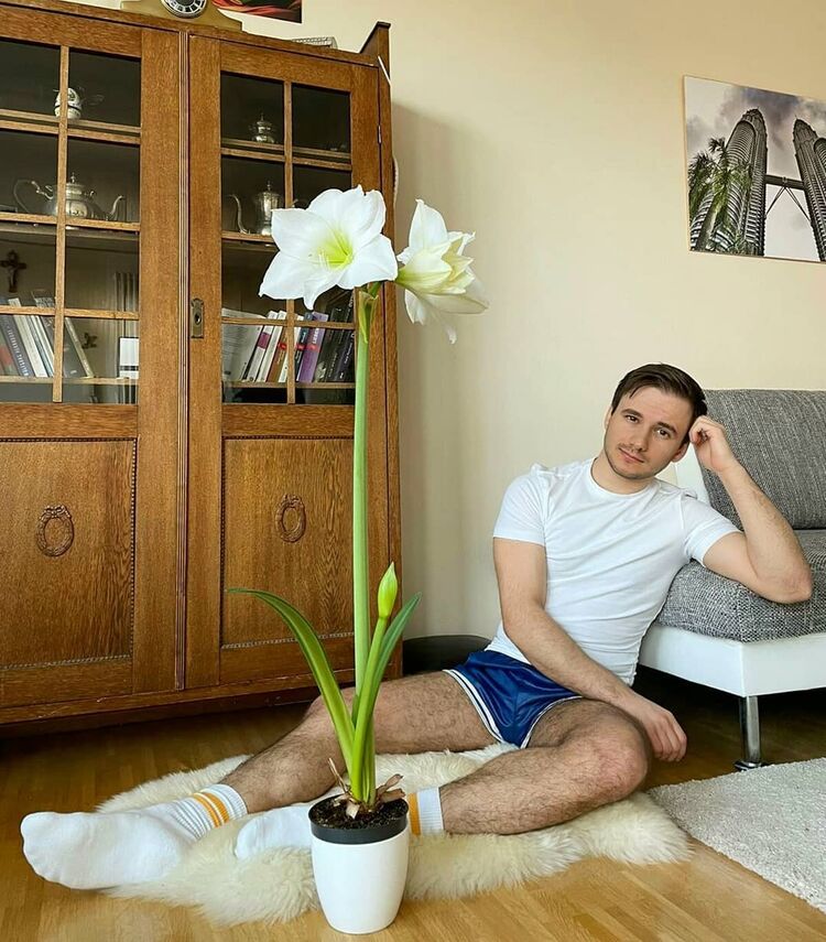 ���������� ���������, ���� ������� ���������, 37 ���, ������������ ��� ����� � ���������, c�������� ���������, ���������