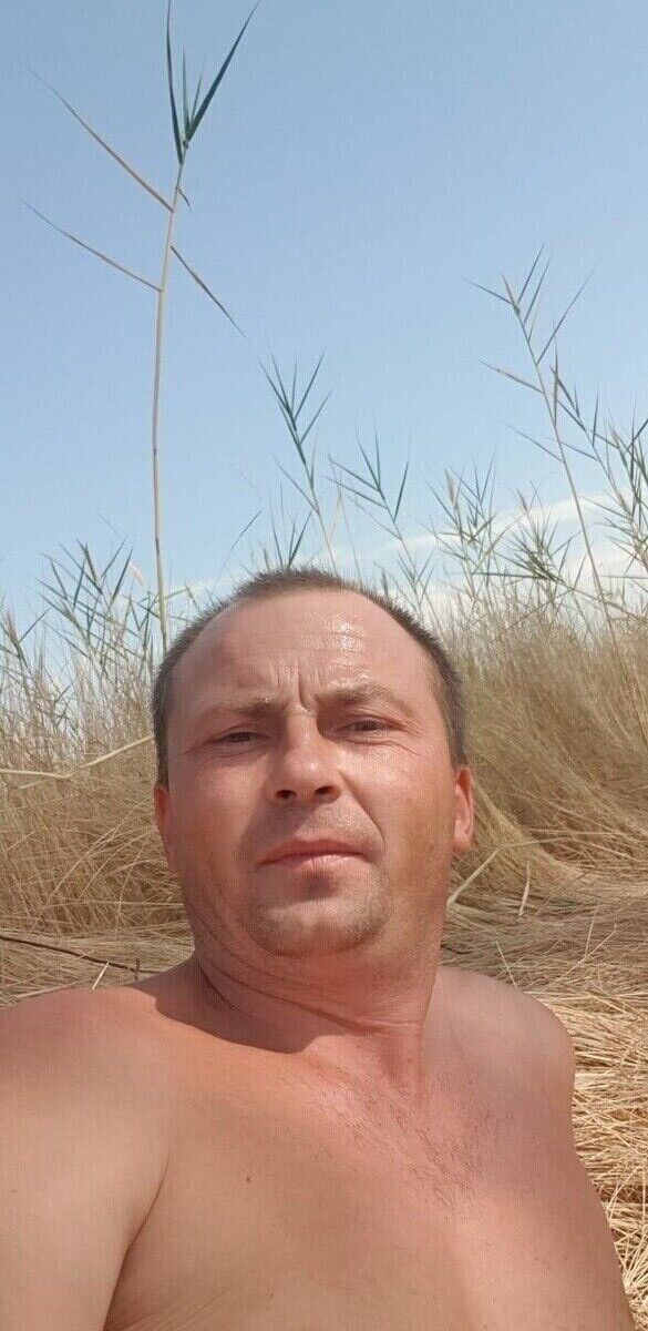  21763205  , 44 ,    
