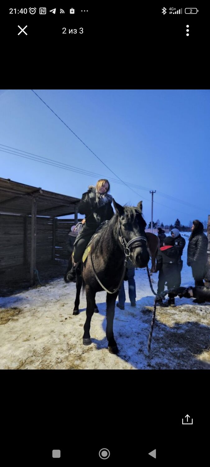 ���� 40040625 ������� ��������, 38 ���, ���� ���������� � ������