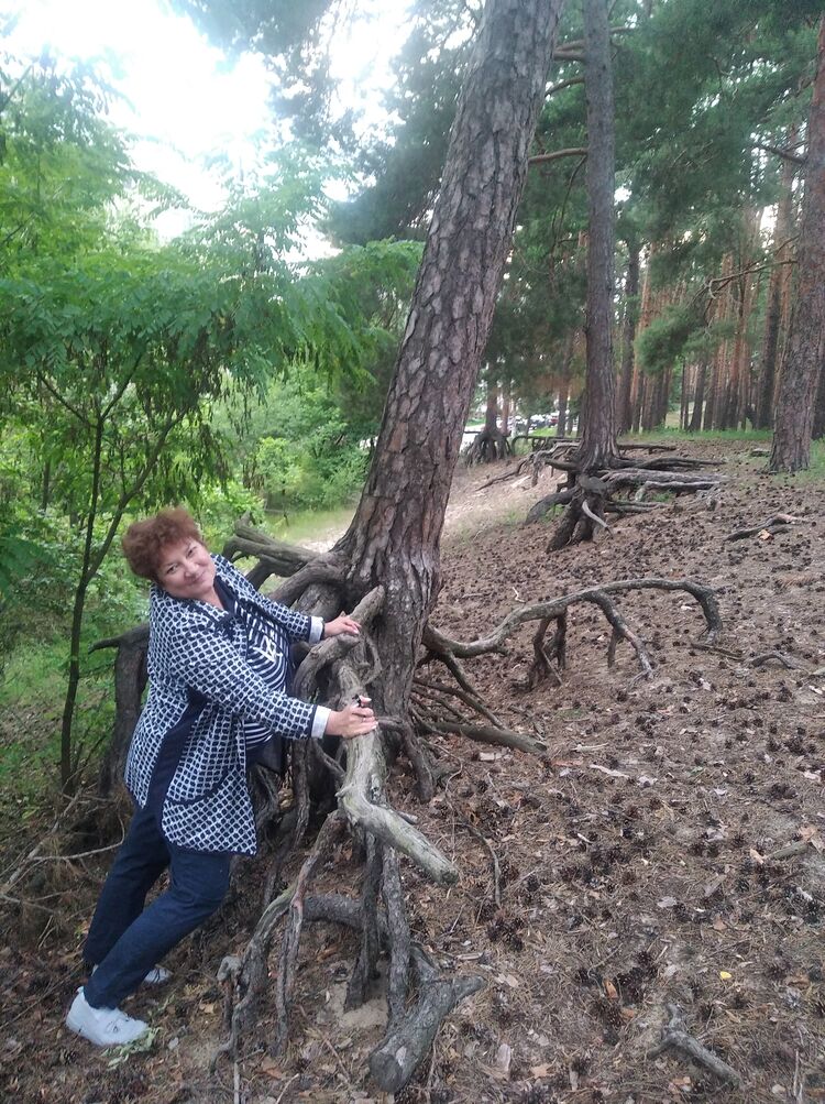 ���������� ��������, ���� ������� �����, 60 ���, ������������ 