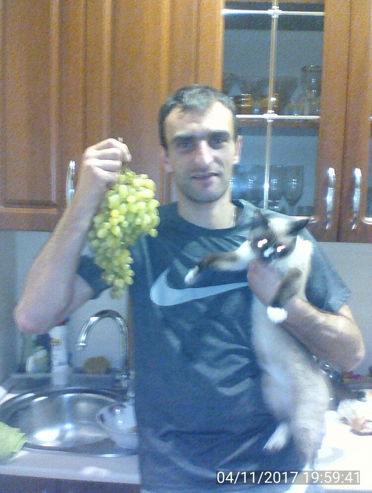  ,   , 41 ,   