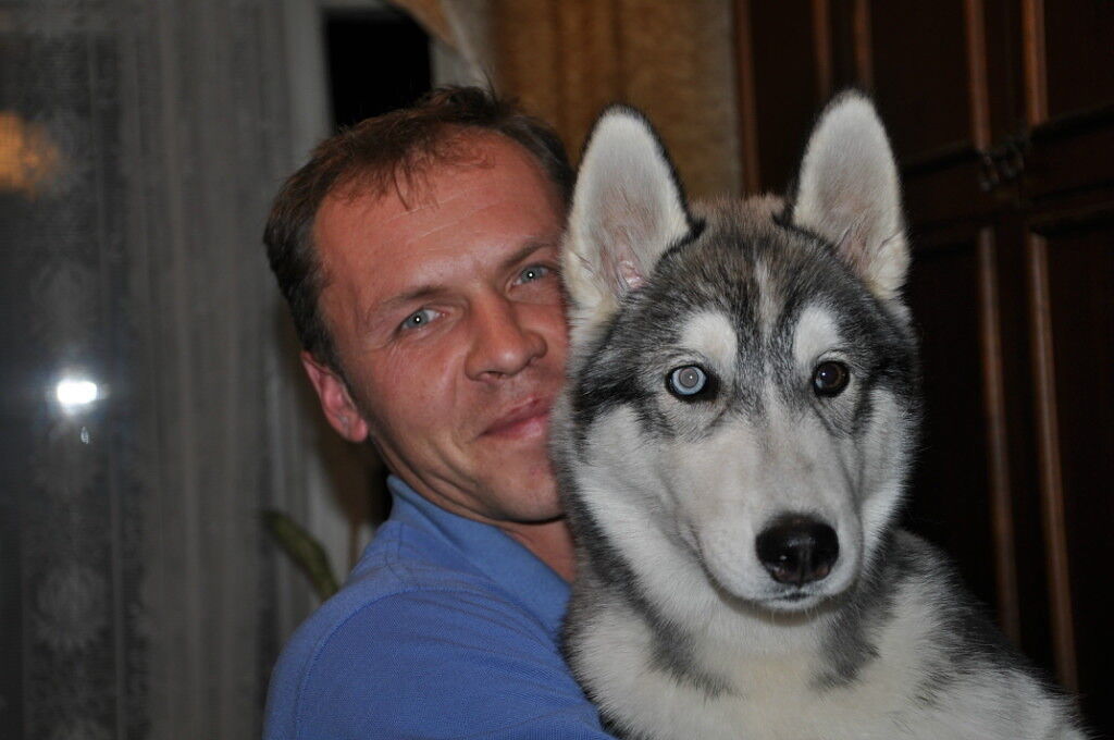 ���� 11745385 ������� �������, 50 ���, ���� ���������� � ���������