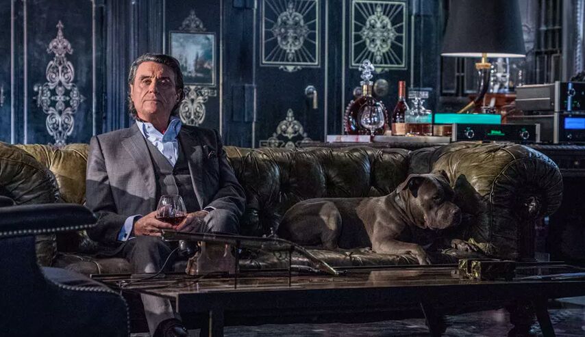 ���� 56347675 ����� Winston, 22 ����, ���� ���������� � ������