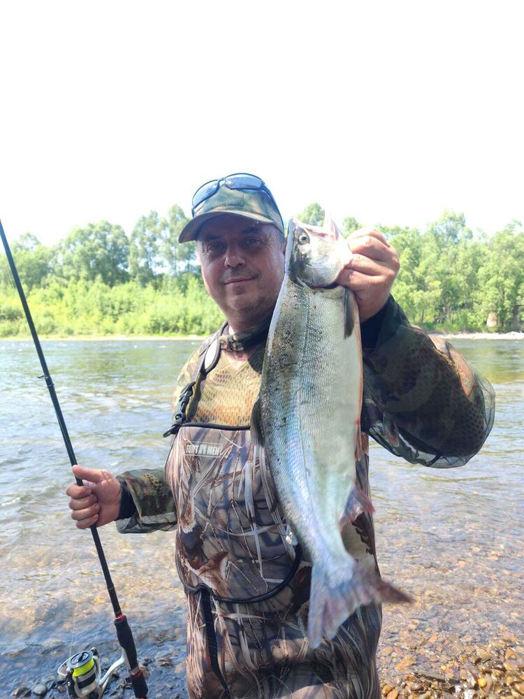  54168735  , 51 ,    -