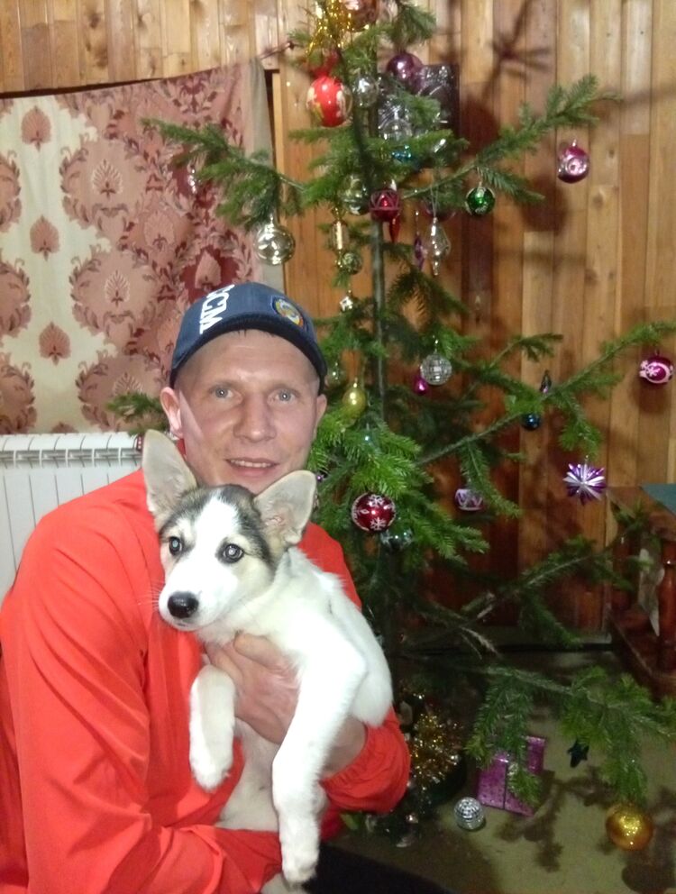 ���� 55429305 ������� �������, 38 ���, ���� ���������� � ������������