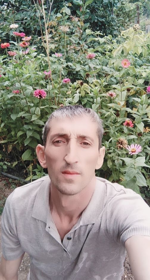  36241265  , 45 ,    