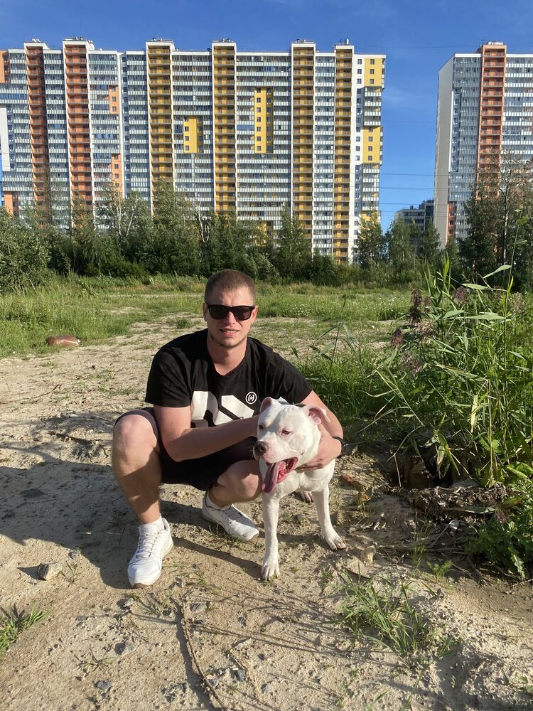 ���������� �����-���������, ���� ������� �������, 32 ����, ������������ ��� ������, ����� � ���������, c�������� ���������, ���������