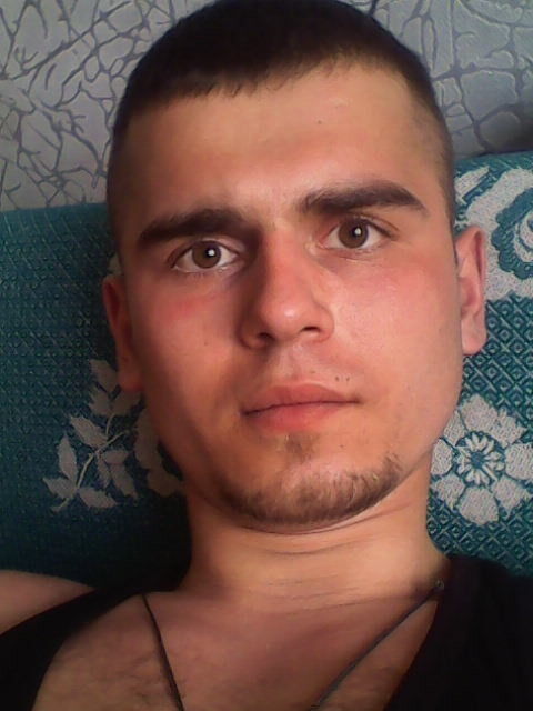  5797305  , 33 ,    