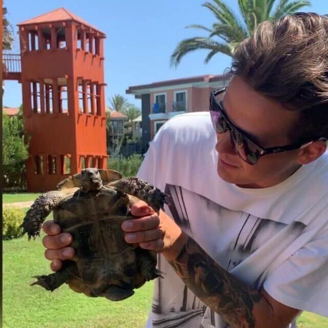 ���������� �����-���������, ���� ����� ������, 25 ���, ������������ ��� ������, c�������� ���������