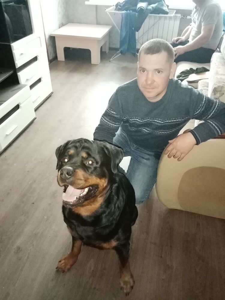 ���������� ����, ���� ������� �����, 38 ���, ������������ ��� ������, ����� � ���������, c�������� ���������