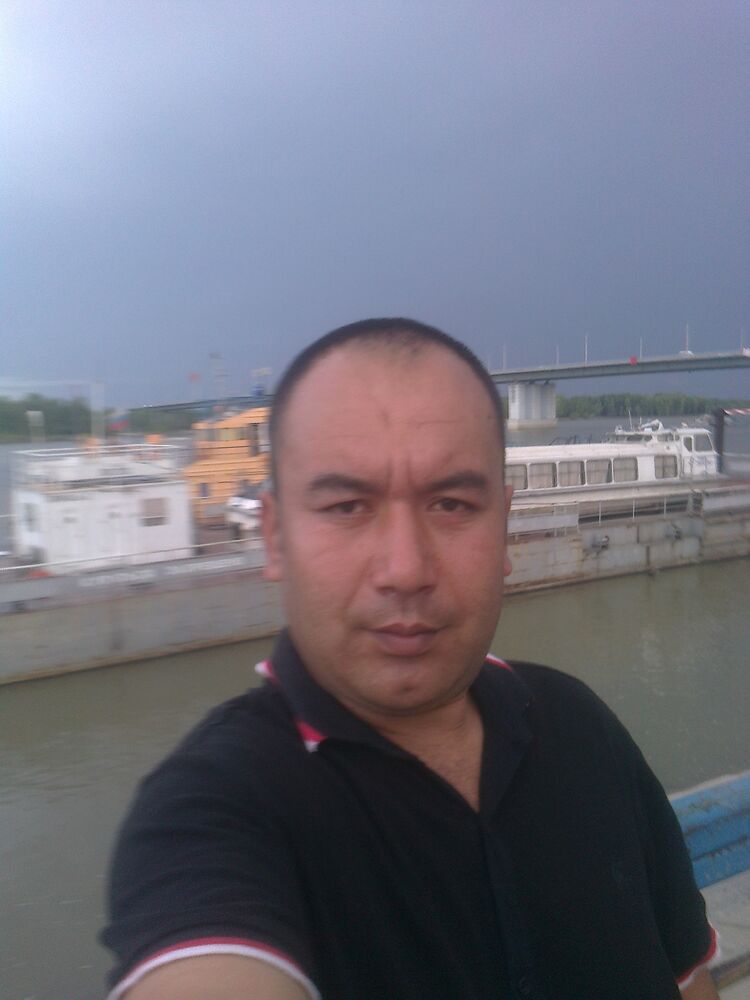  23746775  , 41 ,    