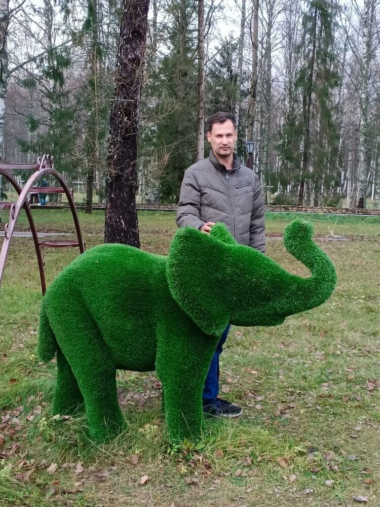 ���������� ������, ���� ������� �����, 43 ����, ������������ ��� ������, ����� � ���������