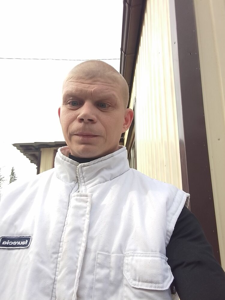  33783595  , 41 ,     