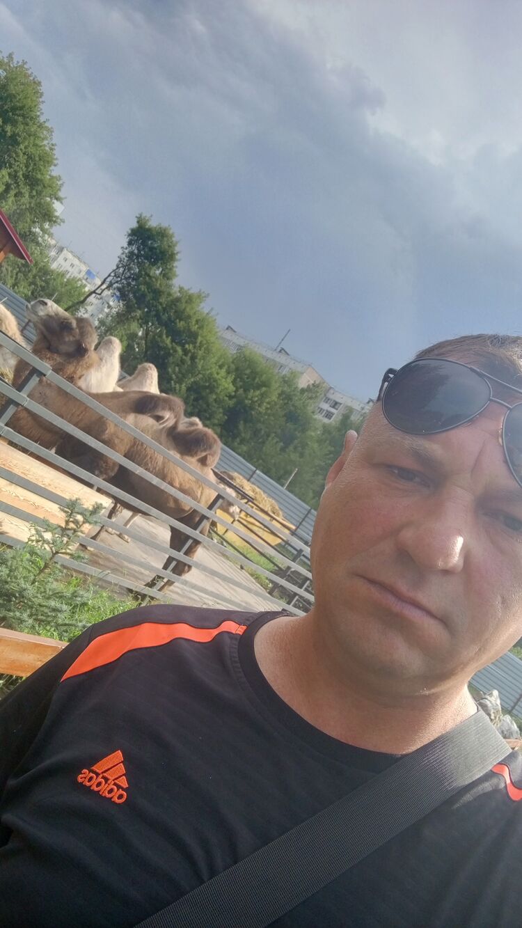  53008525  , 41 ,    