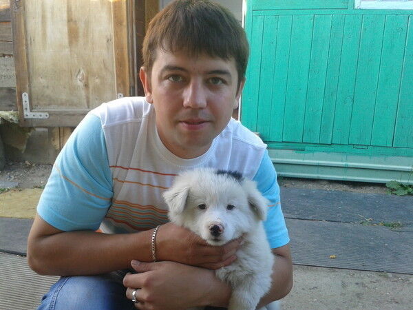 ���������� ����, ���� ������� ���������, 41 ���, ������������ ��� ������, ����� � ���������, c�������� ���������