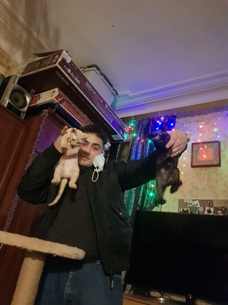 ���������� �����-���������, ���� ������� ����, 28 ���, ������������ ��� ������, ����� � ���������, c�������� ���������, ���������