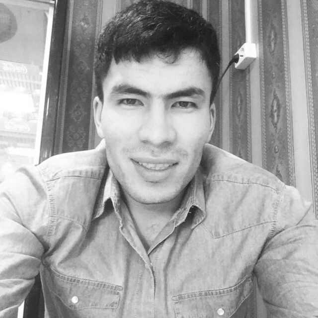  28584835  , 33 ,    -