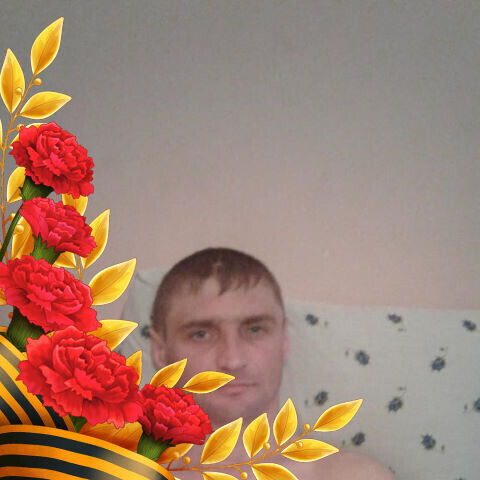  22293255  , 43 ,    