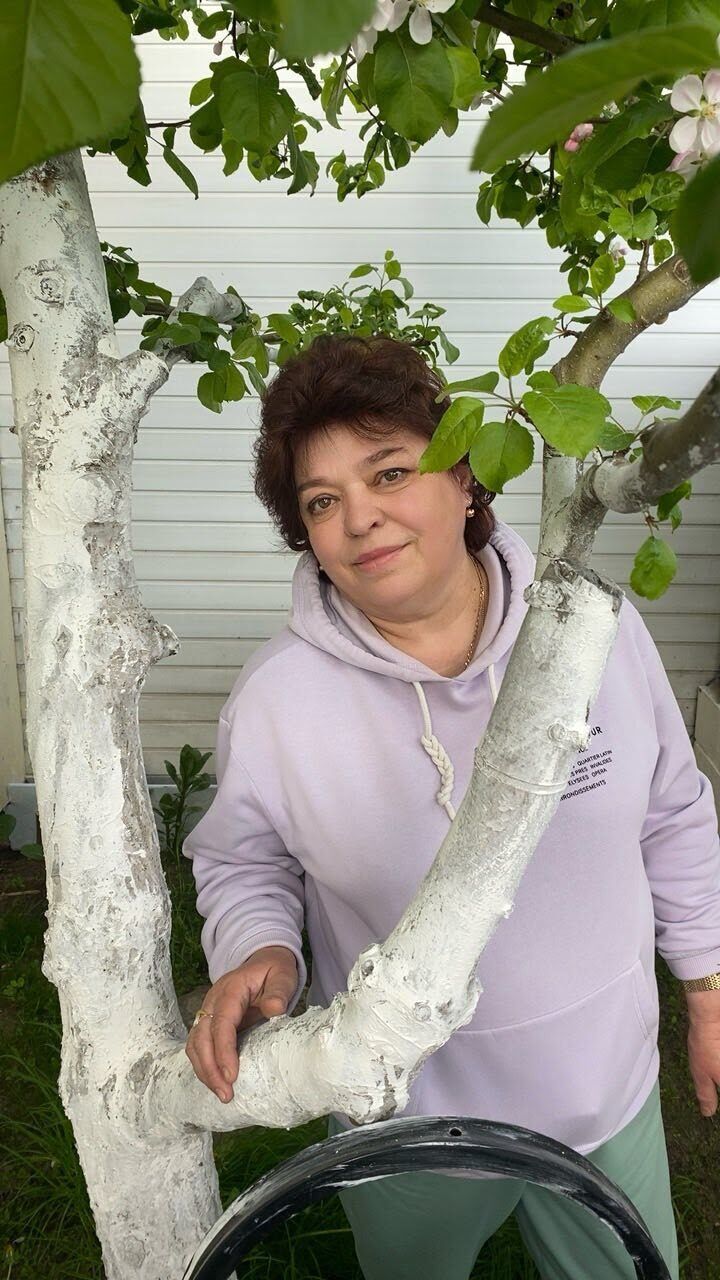  ,   , 65 ,   ,   