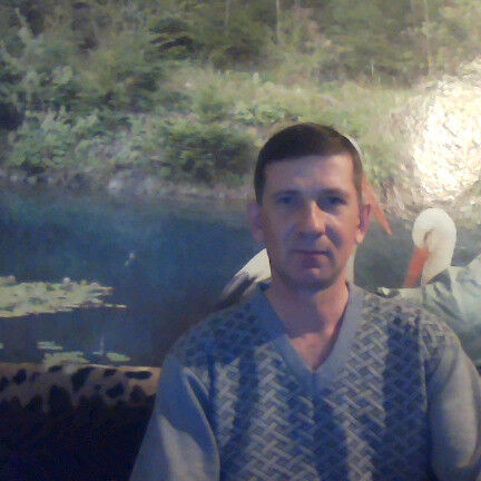  ,   , 51 ,   
