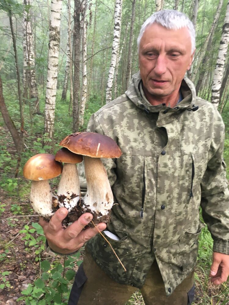 ���� 51545125 ������� ��������, 62 ����, ���� ���������� � ���������