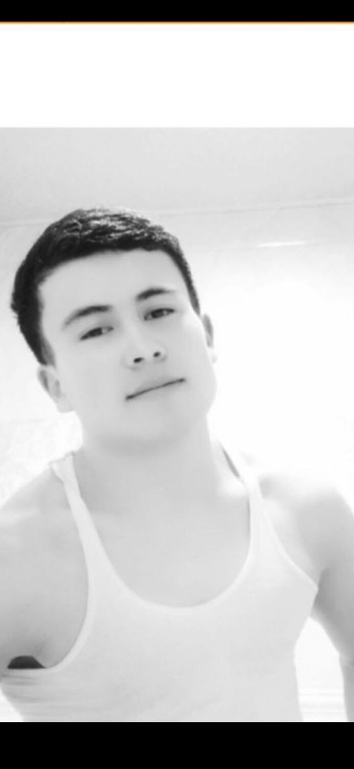 ���� 33122375 ������� ����, 34 ����, ���� ���������� � ���������